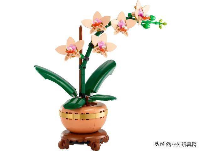 0月亚马逊热卖玩具潮玩榜ky开元棋牌欧洲五国1(图6)